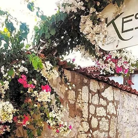 Kesre אורחן